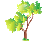 Sherwood Meadows Landscaping and Construction Inc. Sherwood Meadows Landscaping and Construction Inc.